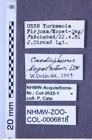 Etiketten zu Cardiophorus bogatschevi (Dolin, 1985) (NHMW-ZOO-COL-0006818)